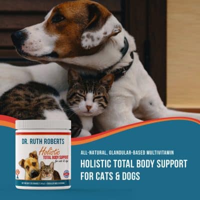 Holistic total body support