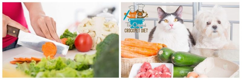 benefits of home cooked food for dogs and cats