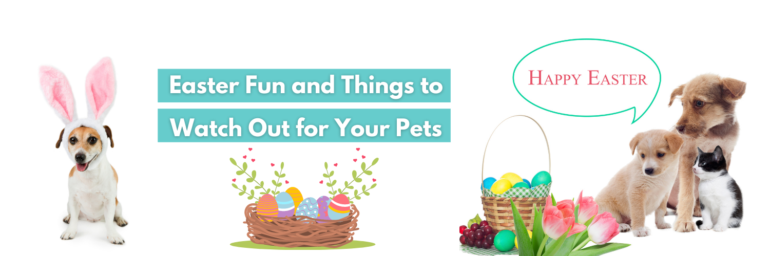 easter with pets