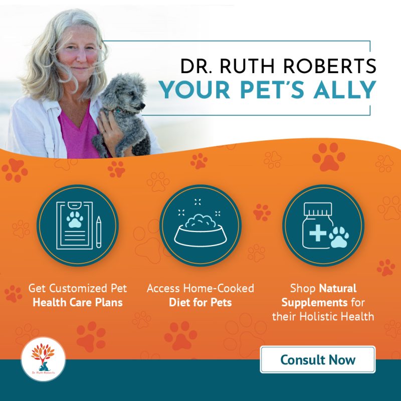 holistic pet consultation | Dr. Ruth Roberts, Vet expert with 30+ years expertise