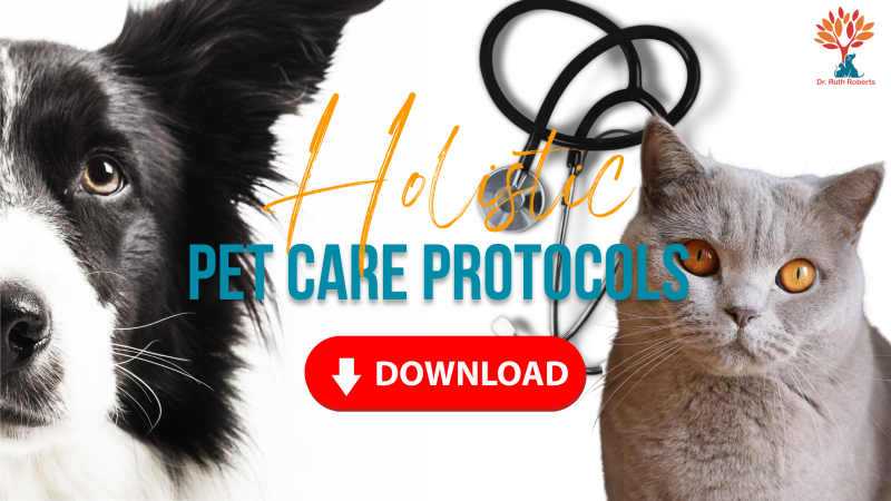 Holistic pet care protocols | Dr. Ruth Roberts