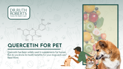 quercetin for pets