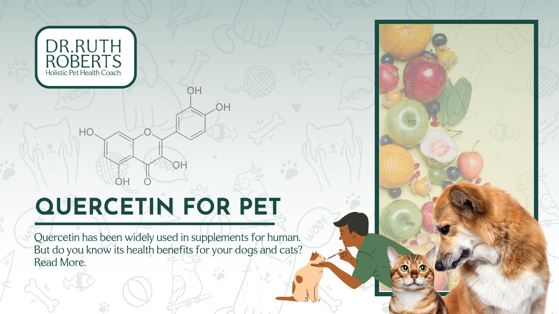 quercetin for pets