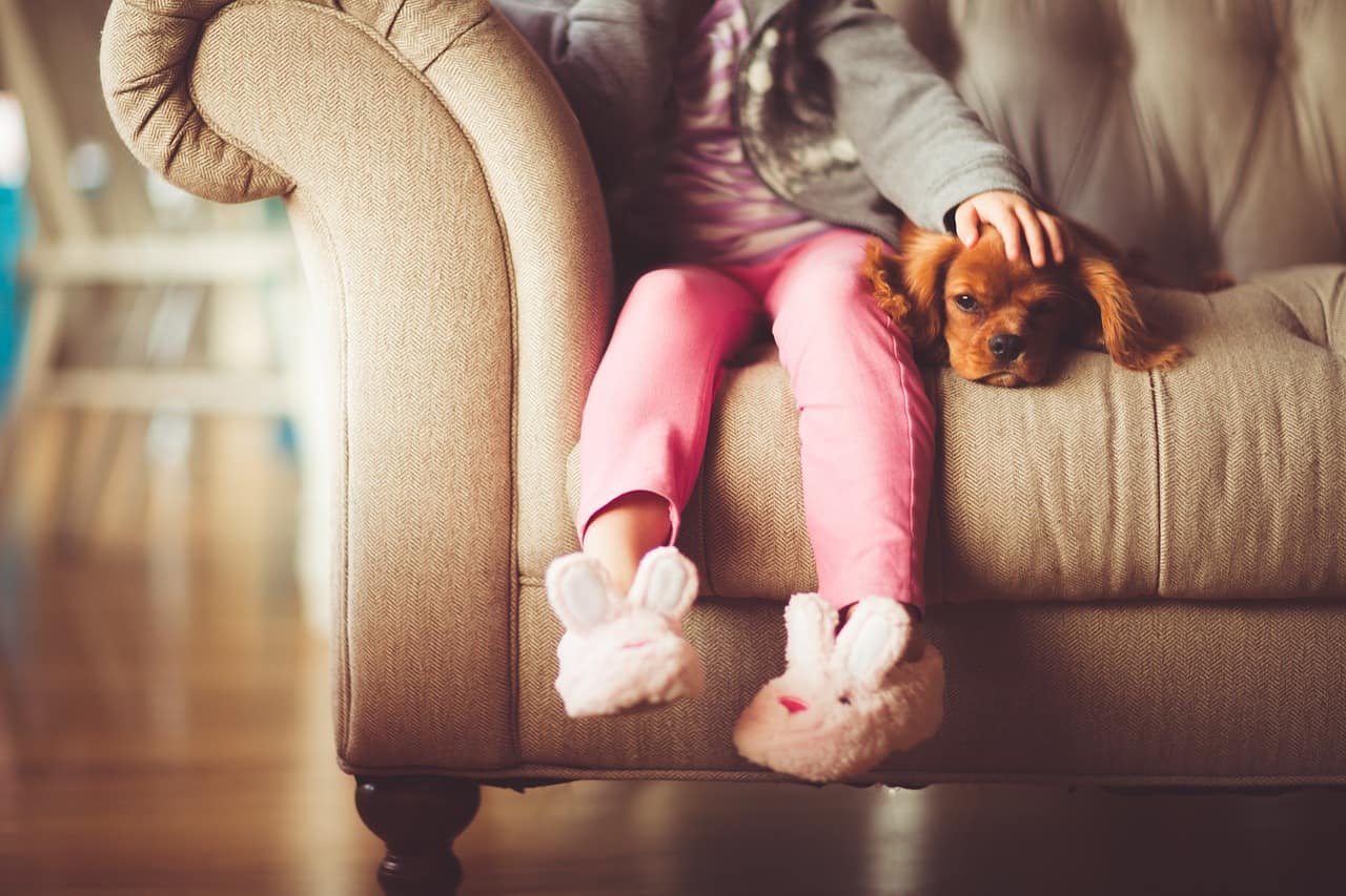 Girl With Dog on Couch