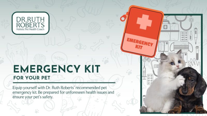 Emergency Kit For Cats and Dogs