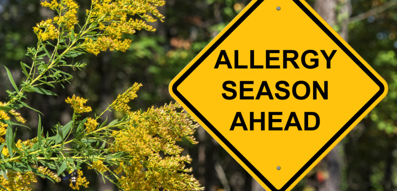 season of allergies