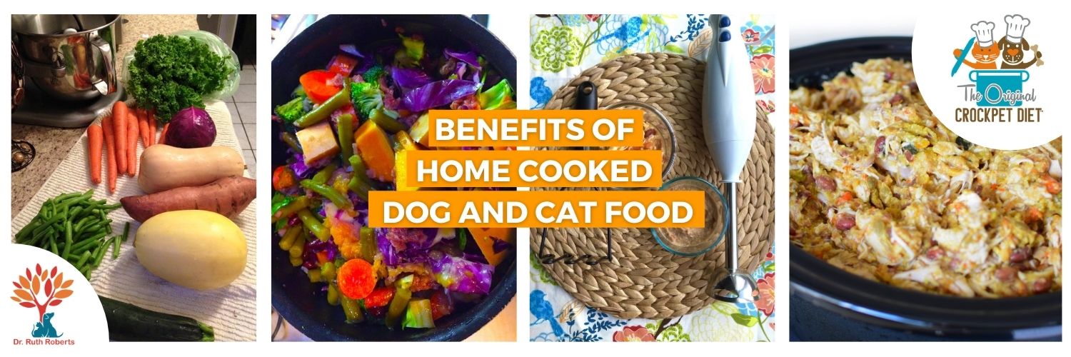 home made food for dogs and cats