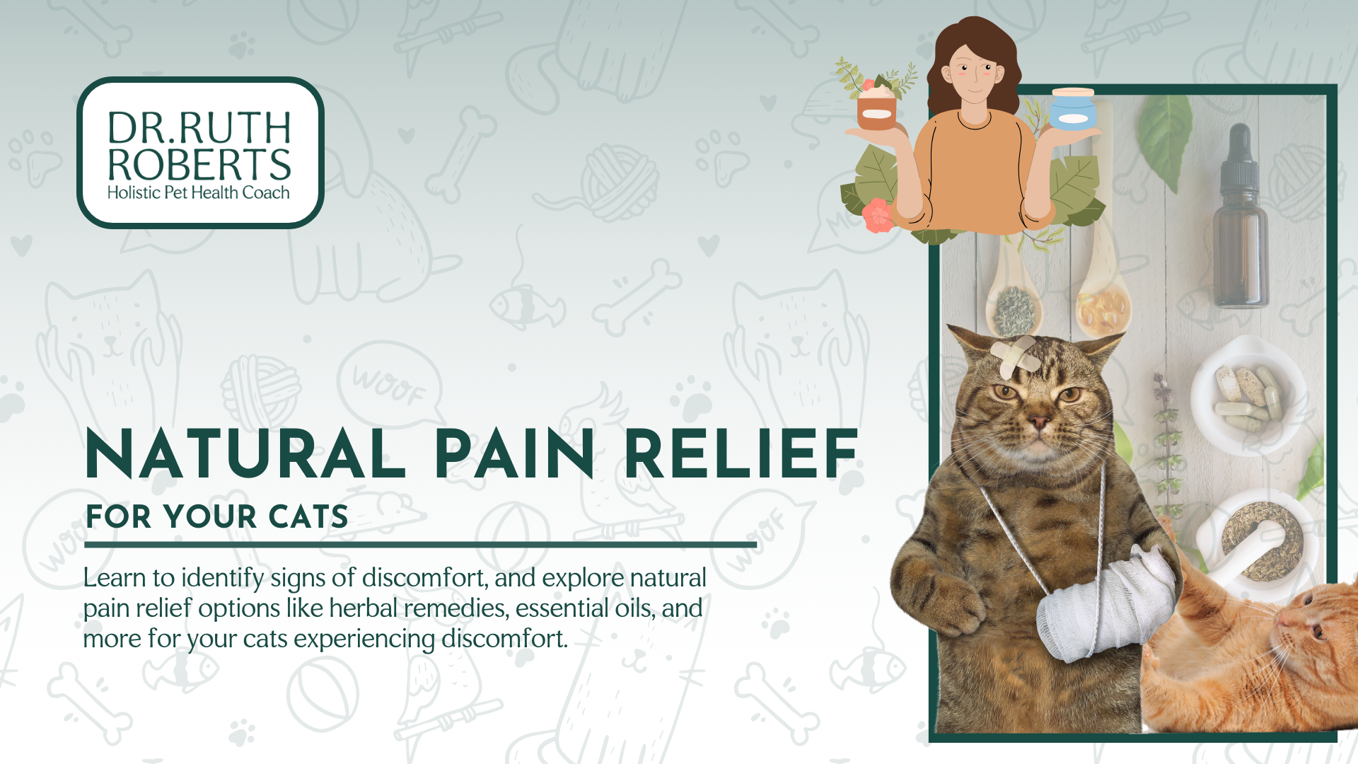 natural pain relief for cats