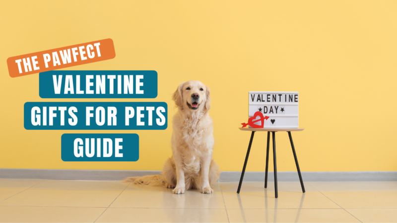 Perfect valentine gifts for pets | Dr. Ruth Roberts