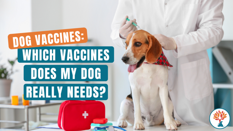 dog vaccine guide Dr. Ruth ROberts