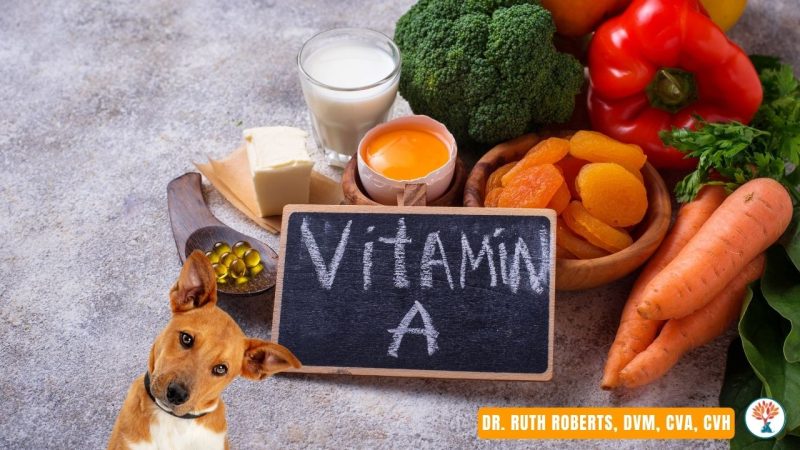 Vitamin A for dogs benefit