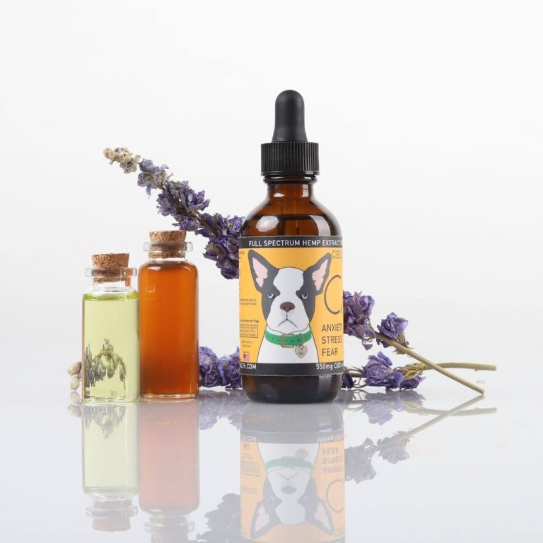 Can CBD Help Oil Help Pets With Anxiety?
