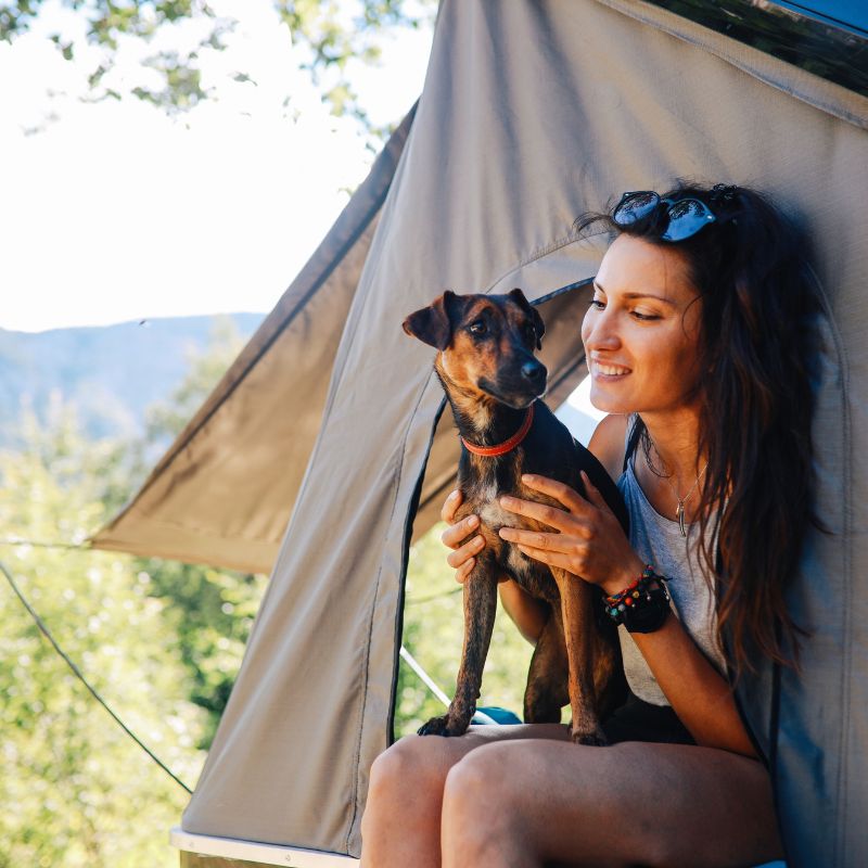 pet friendly camping