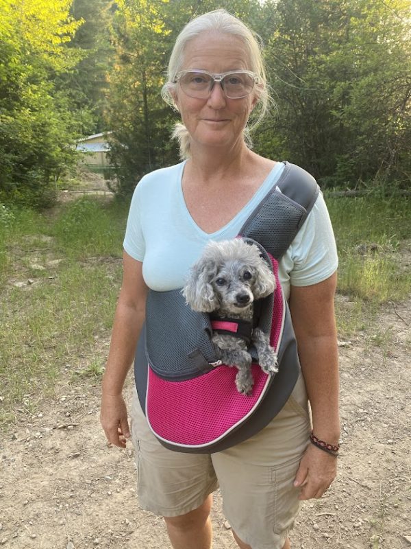 Dog carrier for travelling | Dr. Ruth Roberts Travelling with her dog Hi-yo | Travelling with pet tips