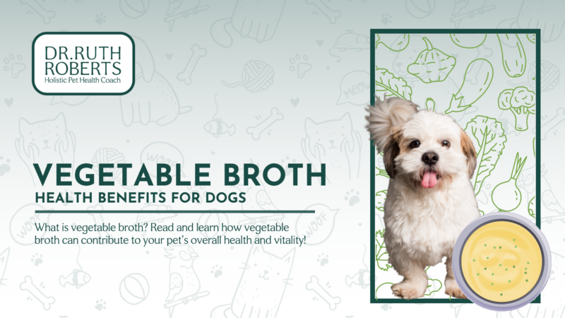 Vegetable broth for dogs