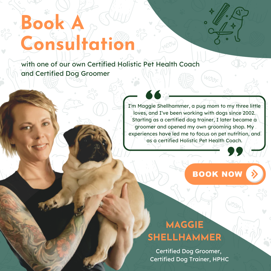 Consultation with Holistic Pet Health Coach and Certified Dog Groomer