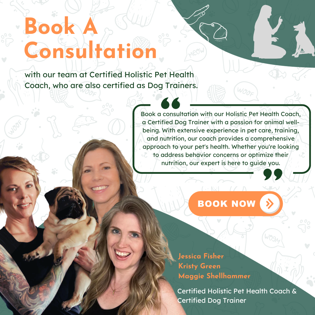Holistic Pet Health Coach and Certified dog trainer