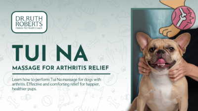 Massage for dogs with arthritis