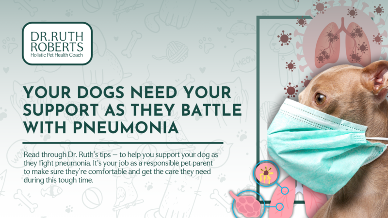 How To Help A Dog With Pneumonia