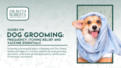 how to relieve dog itching after grooming