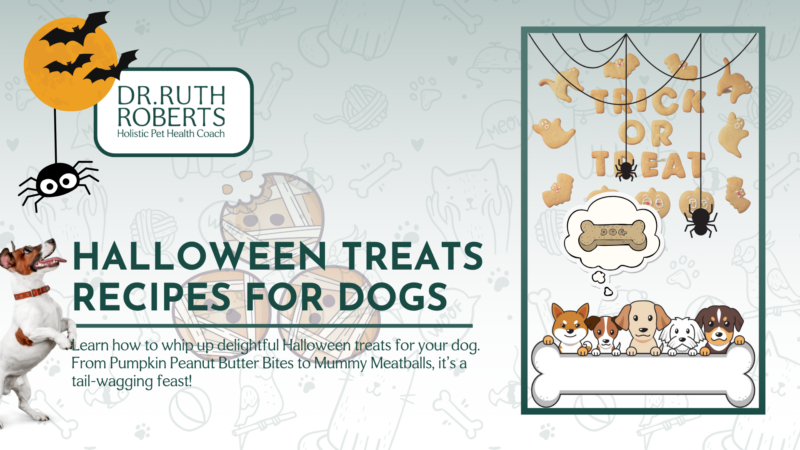 Halloween Dog Treats Recipes
