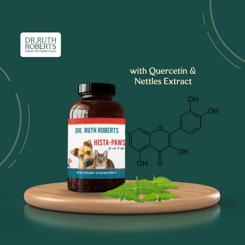 quercetin supplements for cats and dogs